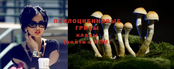 винт Пересвет