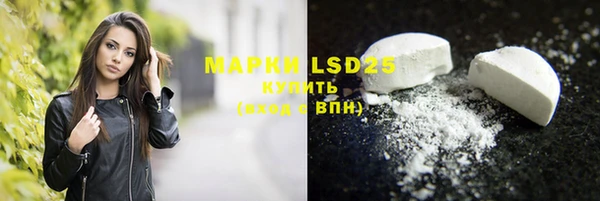 винт Пересвет