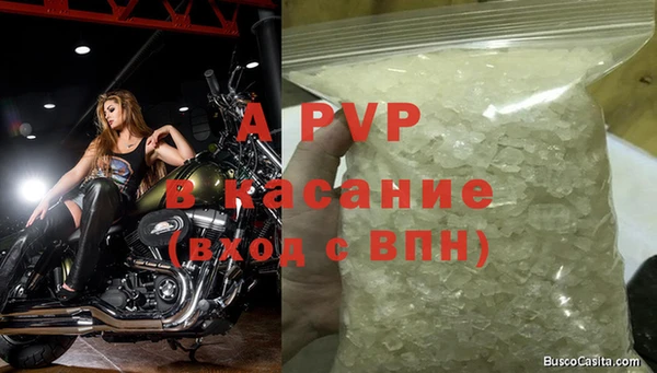винт Пересвет