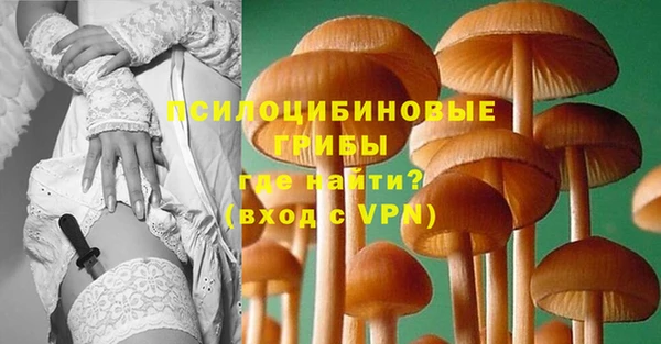 винт Пересвет