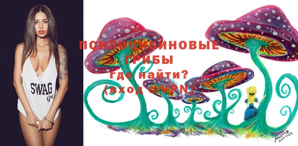 mdma Переславль-Залесский