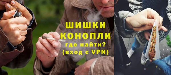винт Пересвет
