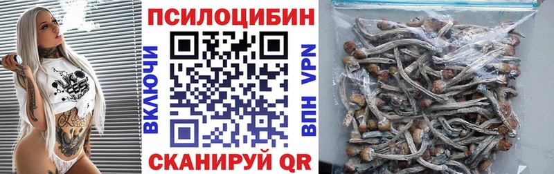 Псилоцибиновые грибы Psilocybe  что такое   Алзамай 